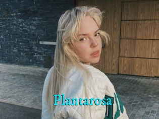 Plantarosa