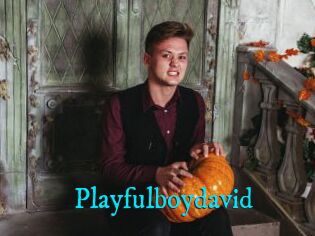 Playfulboydavid