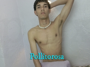 Pollitorosa