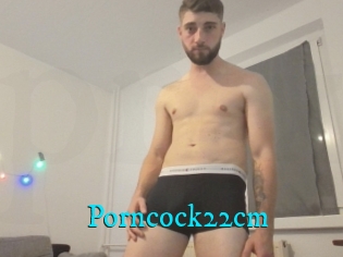 Porncock22cm