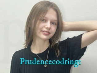 Prudencecodringt