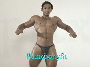 Pumebonyfit