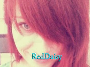 RedDaisy