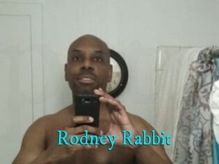 Rodney_Rabbit