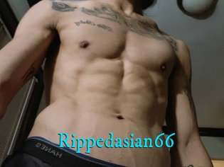 Rippedasian66