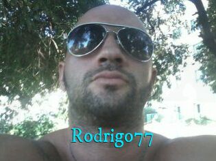 Rodrigo77