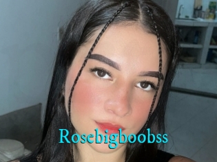 Rosebigboobss