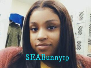 SEABunny19