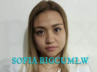 SOFIA_BIGCUMLW