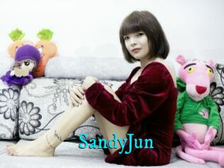 SandyJun