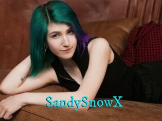 SandySnowX