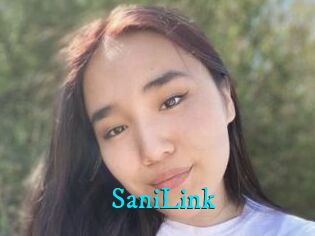 SaniLink