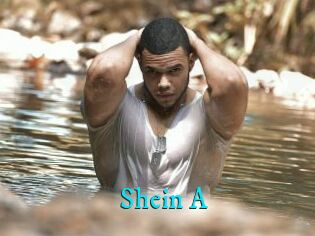 Shein_A