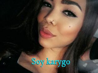 Soy_karygo