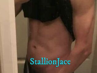 StallionJace