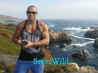 Steve_Wild