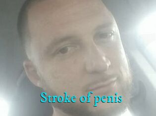 Stroke_of_penis