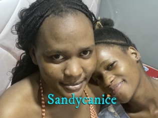 Sandycanice