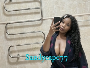 Sandycape77