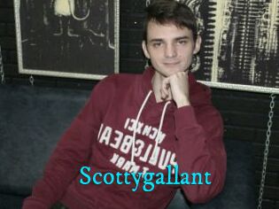 Scottygallant