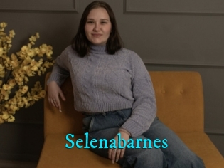 Selenabarnes