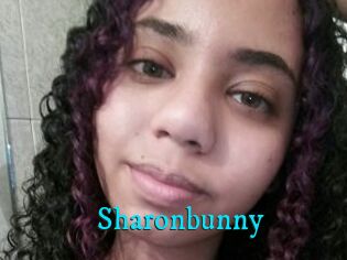 Sharonbunny