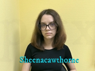 Sheenacawthorne