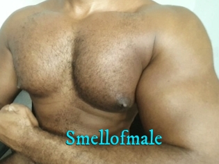 Smellofmale