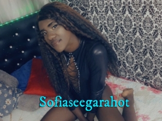 Sofiaseegarahot