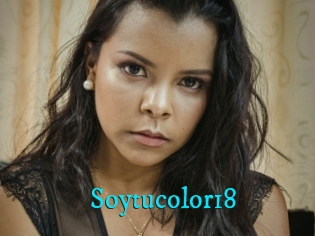 Soytucolor18