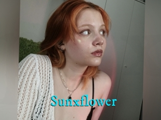 Sunxflower