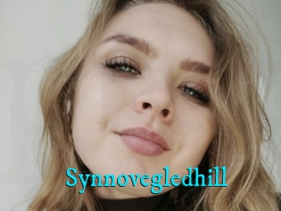 Synnovegledhill