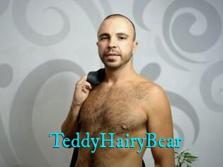 TeddyHairyBear