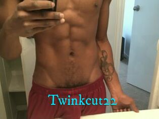 Twinkcut22