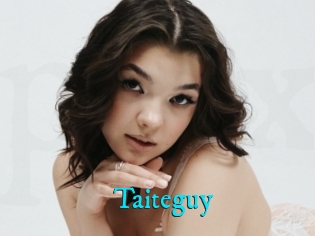 Taiteguy