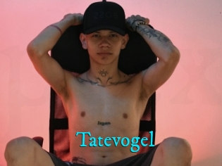 Tatevogel