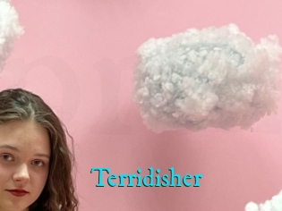 Terridisher