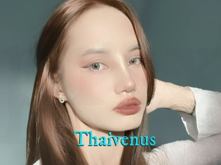 Thaivenus