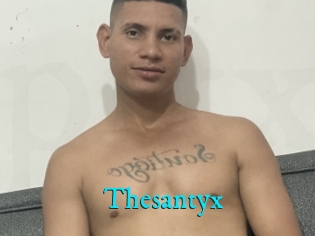 Thesantyx