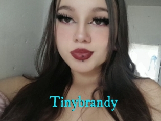 Tinybrandy