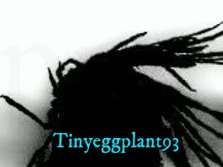 Tinyeggplant93