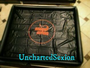 UnchartedSexion