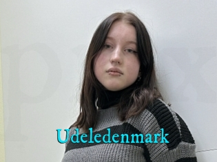 Udeledenmark