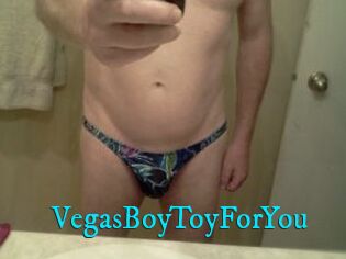 VegasBoyToyForYou