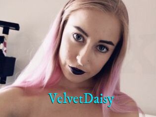 VelvetDaisy