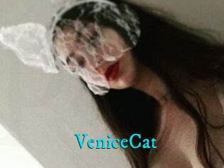 VeniceCat