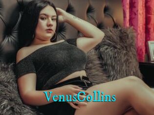 VenusCollins