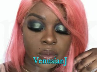 VenusianJ