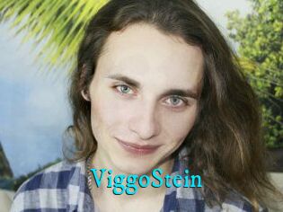 ViggoStein