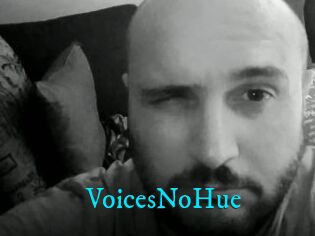 VoicesNoHue